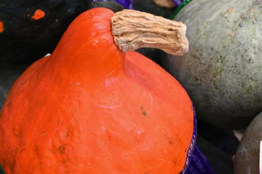 オレンジ色の南瓜 カボチャ,南瓜,ハロウィンの写真素材