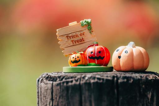 ハロウィンがとても待ち遠しい ハロウィンがとても待ち遠しい ハロウィン,かぼちゃ,ハロウィンパーティーの写真素材