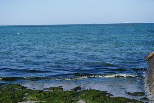 知多半島の海 海,空,海辺の写真素材