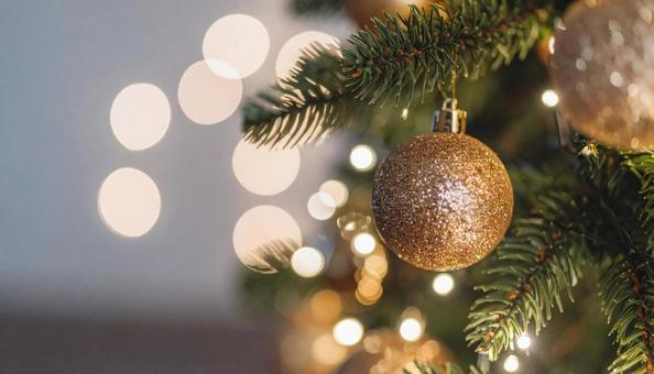 クリスマスツリーイルミネーションの写真