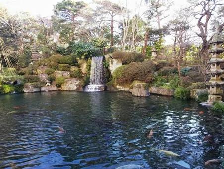庭園 庭園の写真