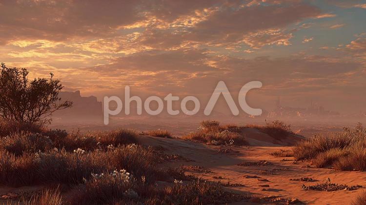 SFの世界、砂漠の荒廃 荒廃,廃墟,砂漠の写真素材