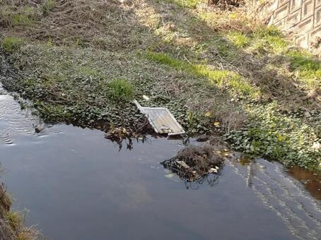 きたなめの川 用水路,水質,泡の写真素材