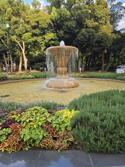 横浜公園の噴水 噴水,横浜公園,関内の写真素材