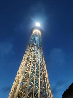 スカイツリーの写真