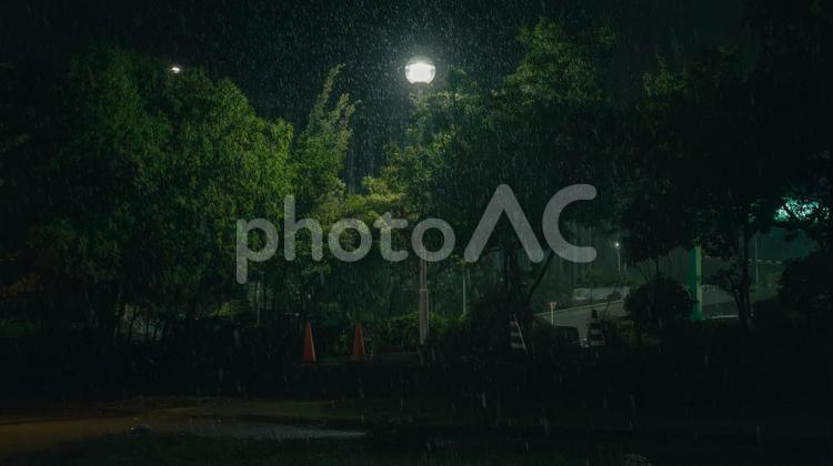 雨の街灯 街灯,景色,雨の写真素材