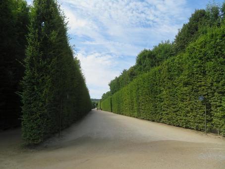 ヴェルサイユ（ベルサイユ）宮殿の庭園 ヴェルサイユ宮殿,バロック建築,建造物の写真素材