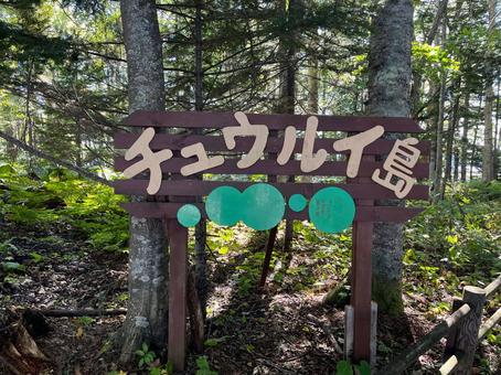 森の中の看板 森の中の看板 森,木,看板の写真素材