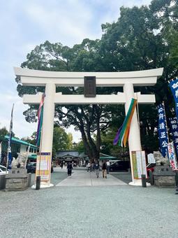 加藤神社へ 加藤神社へ 加藤神社,鳥居,参拝の写真素材