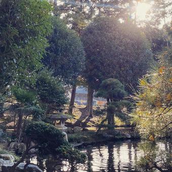 池 池の写真