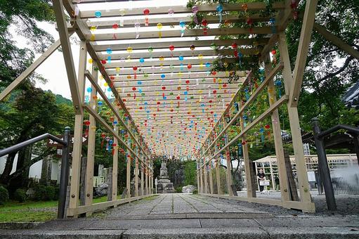 パワースポット 滋賀 西教寺⑳ パワースポット 滋賀 西教寺⑳ パワースポット,滋賀県,西教寺の写真素材