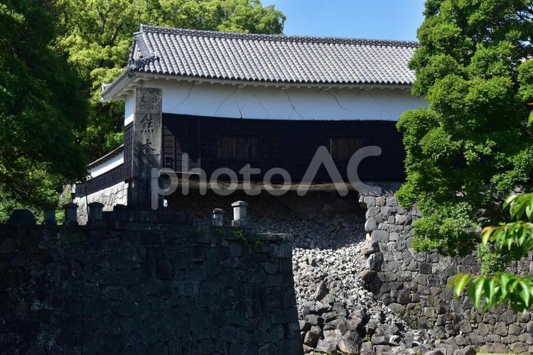 熊本　熊本城　城 熊本,熊本県,九州の写真素材