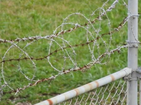 照片, 铁丝网, 玫瑰线, 篱笆, 