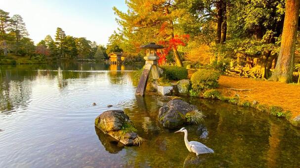 晩秋・早朝の兼六園 兼六園,金沢,石川の写真素材