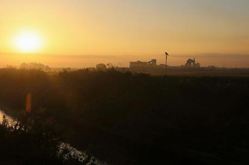 朝日とカラスの写真
