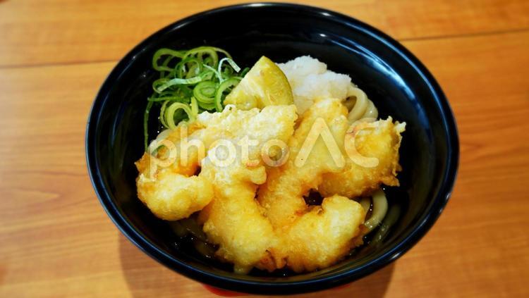 海老天と大根おろしのぶっけけうどん 海老天,大根おろし,うどんの写真素材
