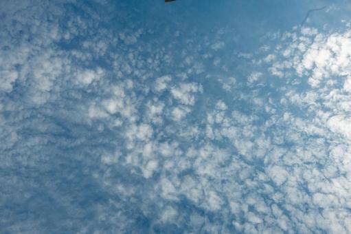 晩秋の空と雲 空,雲,晴天の写真素材