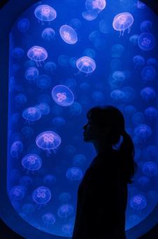 水族館のクラゲの水槽を見つめる女性 水族館のクラゲの水槽を見つめる女性の写真