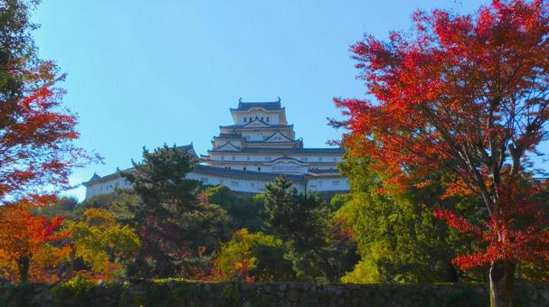 姫路城 北側3 姫路城,白鷺城,石垣の写真素材