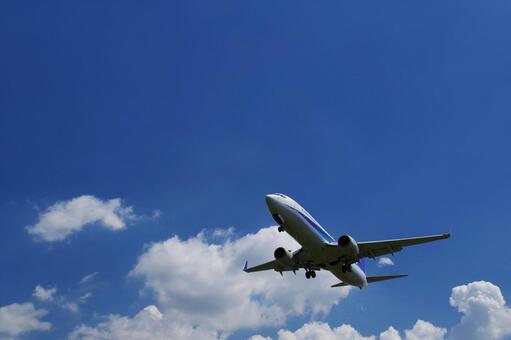 飛行機と青空 飛行機,旅客機,航空機の写真素材