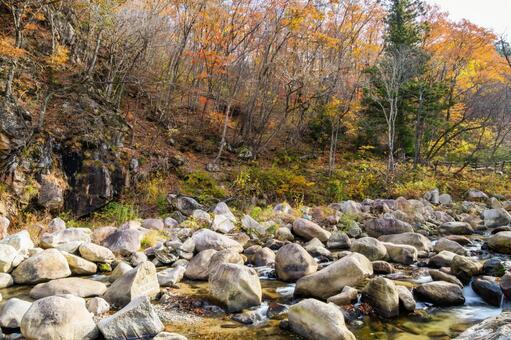 晩秋の不動尊公園キャンプ場⑷ 晩秋,紅葉,川の写真素材
