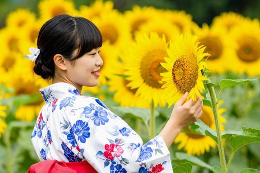 ひまわり畑を散策する浴衣姿の女性 ひまわり畑を散策する浴衣姿の女性の写真