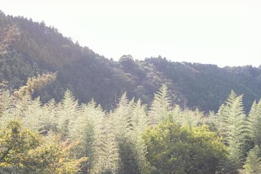 山 山の写真