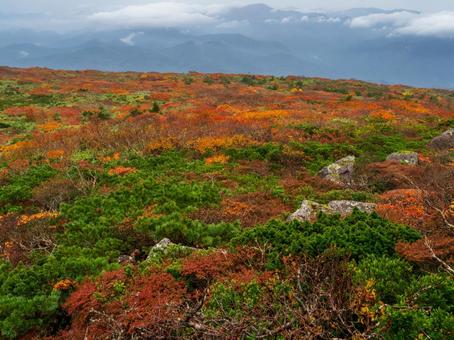 紅葉の栗駒山(須川岳) 紅葉の栗駒山(須川岳)の写真