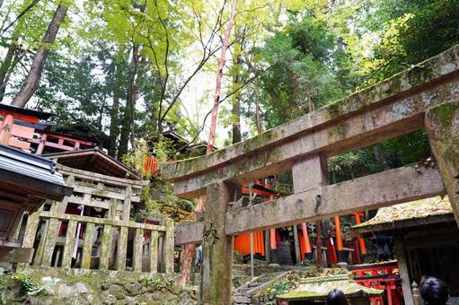 石造りの鳥居と社の風景 石造りの鳥居と社の風景 鳥居,朱色,石の写真素材
