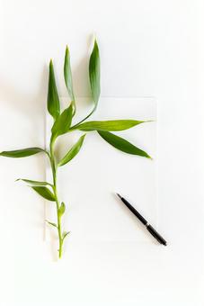 白い紙の上に乗っている植物(白背景) 白い紙の上に乗っている植物(白背景) モックアップ,物撮り,紙の写真素材