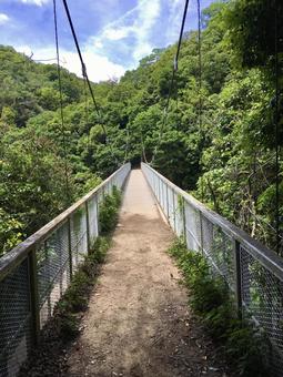山間部の吊り橋 吊り橋,山,森の写真素材