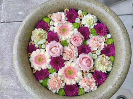 色鮮やかな花手水44 花手水,はなちょうず,手水舎の写真素材