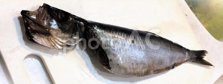 丸々とした大きい子持ちニシン ニシン,子持ちニシン,魚の写真素材
