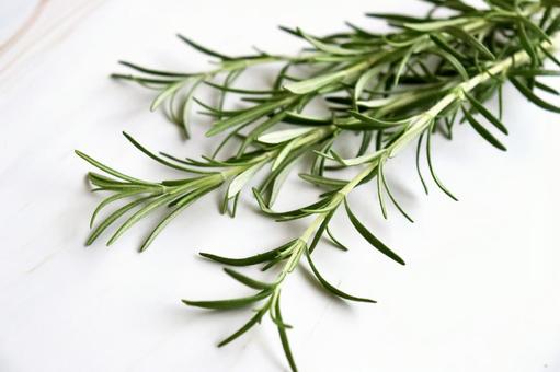 Rosemary, JPG Rosemary, JPG