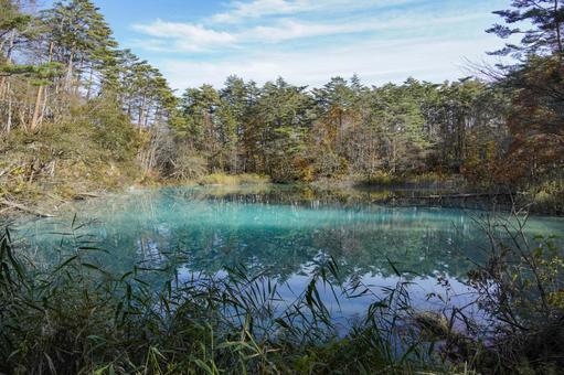 秋の五色沼湖沼群　青沼 五色沼湖沼群,青沼,裏磐梯の写真素材