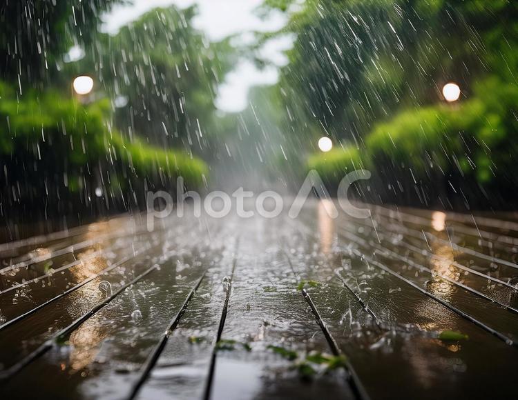 雨の日の風景 雨,梅雨,しずくの写真素材
