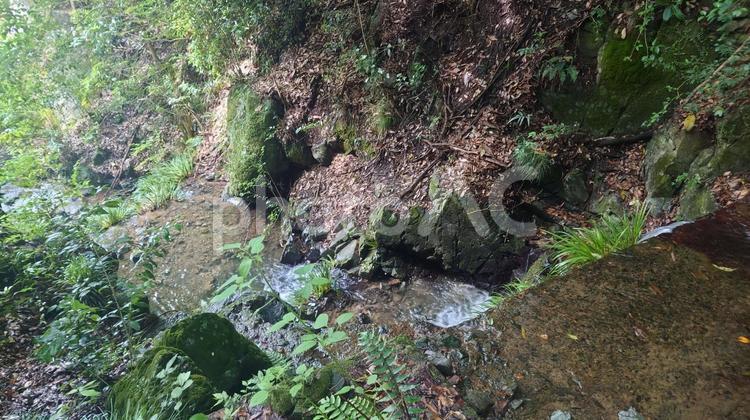 水無瀬の滝 トレッキング,春,ハイキングの写真素材