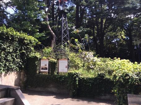 横浜山下公園の写真