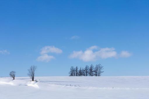 冬の丘と青空 冬の丘と青空の写真