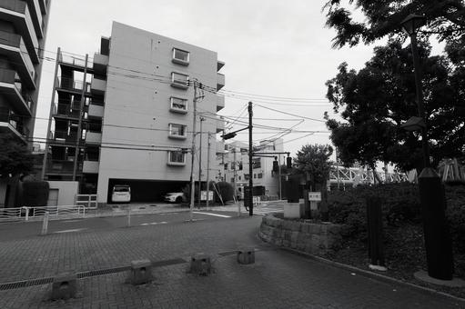 木場公園 モノクロ 木場公園 モノクロ 木場公園,公園,モノクロの写真素材