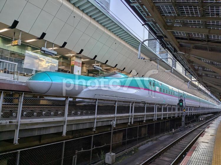 東北新幹線を見上げる はやぶさ,駅,新幹線の写真素材