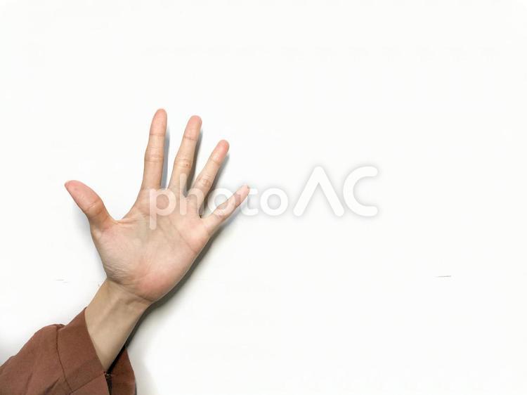 5の指 手,5,数字の写真素材