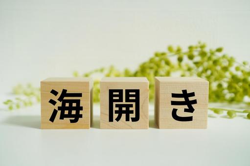 木製ブロックに『海開き』の文字 木製ブロックに『海開き』の文字 海開き,夏,海水浴の写真素材