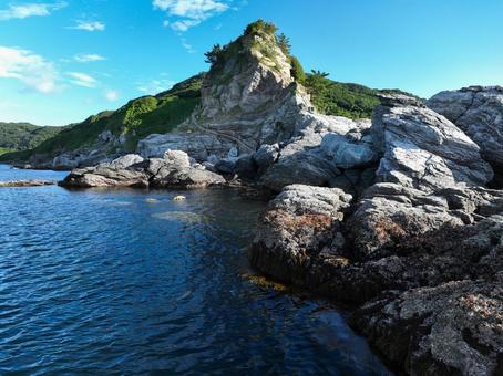 Photo, rhinophyma, cape, peninsula, 