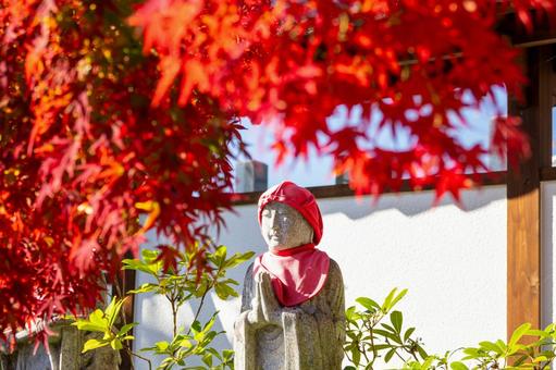 称名寺の紅葉⑷ 秋,紅葉,称名寺の写真素材