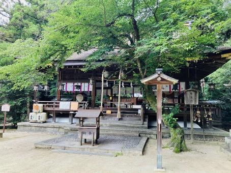 廣瀬大社 拝殿 廣瀬大社 拝殿の写真