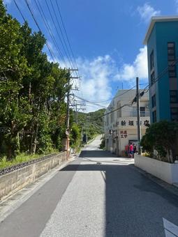 渡嘉敷島の風景 渡嘉敷島の風景の写真