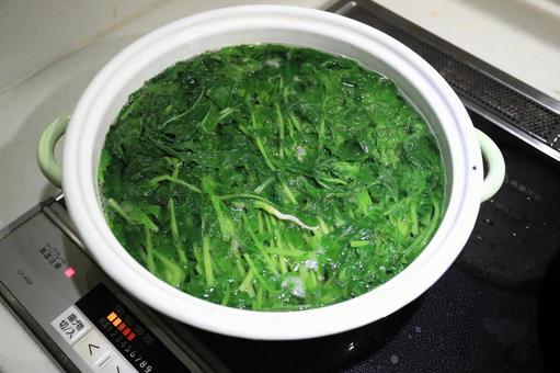 葉大根を茹でる 葉大根を茹でる 大根,ダイコン,野菜の写真素材