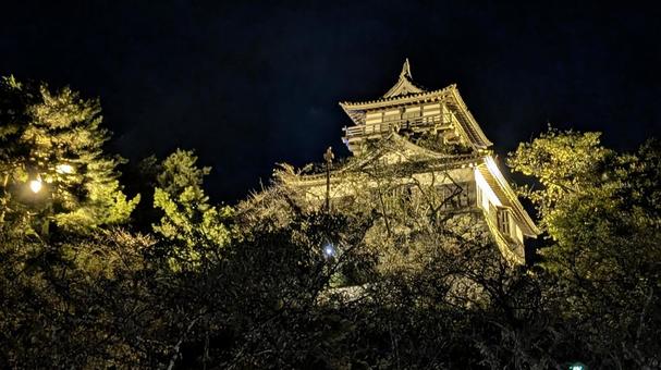 ライトアップされた丸岡城 丸岡城,城,天守の写真素材