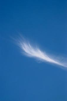 筋雲 筋雲の写真